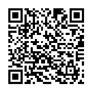 因为不清楚到底是什么事情让见多识广的大护法这么激动二维码生成