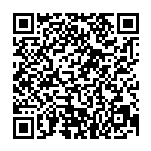 因为两个俱乐部成员的出现就意味着好莱坞已经做好了准备迎接全新时代二维码生成