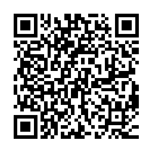 因为个两孩子正一脸渴求知道我和他们的母亲说过什么的样子二维码生成
