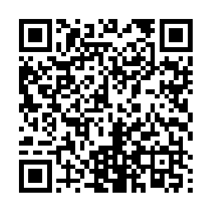 因为为了保护只有赵虎一人的赵家不因意外而转败为胜二维码生成