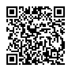 因为之前招聘他只看个别岗位最终胜出者的资料二维码生成