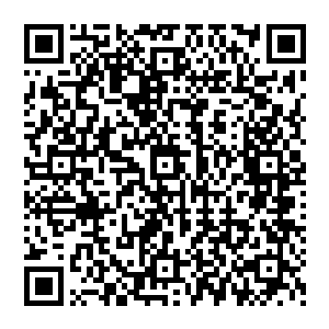 因为之前春梅给我打过电话说她将带领一支团队去南京郊区一个叫做迷县的地方找寻晋哀帝的墓二维码生成