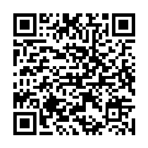 因为乘坐跨洲级传送阵进行大洲与大洲之间的跨越二维码生成