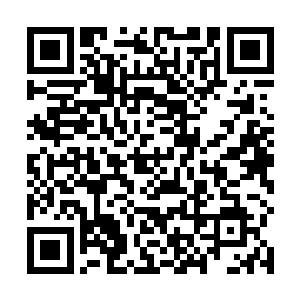 因为九幽魔主平时的时候并不怎么参与九幽圣地的事情二维码生成