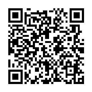 因为二货刚才真实解释是……这是万药山第五层的矿藏二维码生成