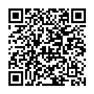 因为交通一建的账目最终都必须经过省厅财计处的审计二维码生成