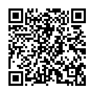 因为今天这场晚宴就是为了黄蓓蓓工作的事答谢一下几位领导二维码生成