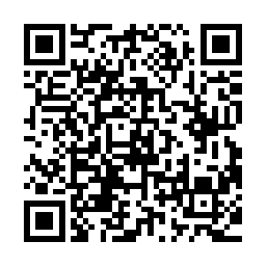 因为从来没有任何一部作品能够在其他奖项上全军覆没的情况下二维码生成