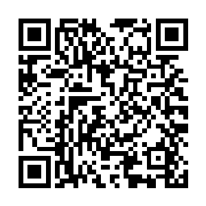 因为他不知道自己大师兄和秦师叔到底是要做什么事情二维码生成