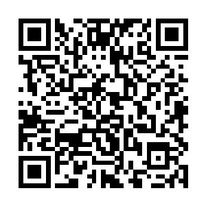 因为他也是最近方才勉强祭炼了这面十二都天巫祖旗二维码生成