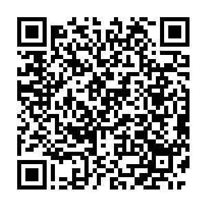 因为他从跑车小巧精致的后视镜里面瞥见后方居然出现了一辆大众车二维码生成