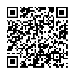 因为他们两个人站的层次并不是想象当中的那么高二维码生成