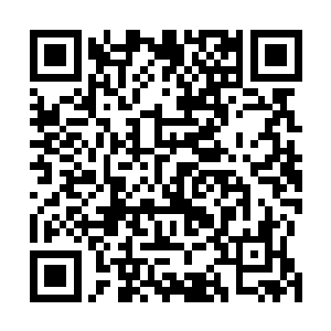 因为他们也可以在最近的距离感受到球迷们对他们的支持二维码生成
