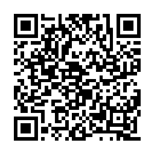 因为他们五个人也看到了那个玄武已经变得暗淡二维码生成