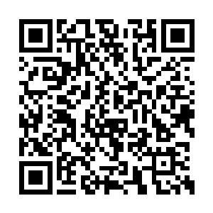 因为他们几人发现自己根本就看不透剑尘的虚实二维码生成