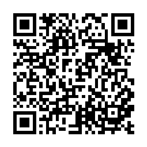 因为他们可以和很多同样的人在一起热烈的交流聊天二维码生成