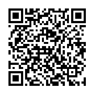 因为他们在那死去的店小二身上没有发现明显的人为伤二维码生成