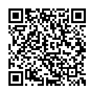 因为他们已经太多年太多年没有见到玄武主神了二维码生成