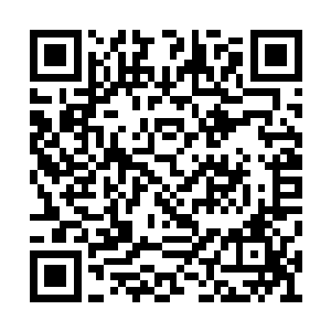 因为他们已经认出了这个人是红叶修炼小队的人二维码生成