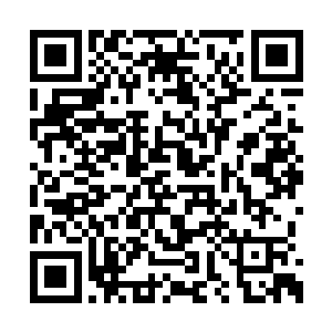 因为他们打探到过对方那家公司给秦老师的报价二维码生成