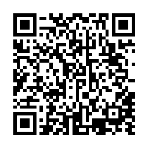 因为他们没有想到他们自己前面四轮的成绩竟然会这么的好二维码生成