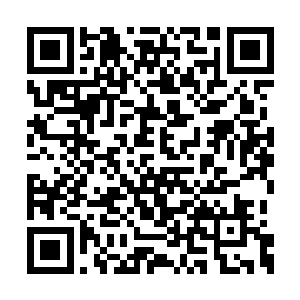 因为他们的举止彻底惹怒了本来就沉浸在悲痛中二维码生成