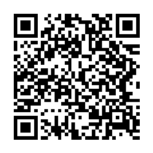 因为他们的灵魂根本就不可能冲进那真正的浩劫裂缝之内二维码生成