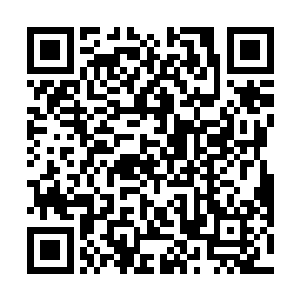 因为他们的雷达系统甚至是电力系统瞬间便是被摧毁了二维码生成