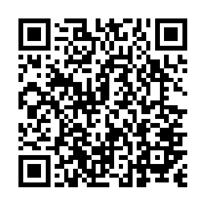 因为他们要提升实力比剑豪级剑者更困难十倍百倍以上二维码生成