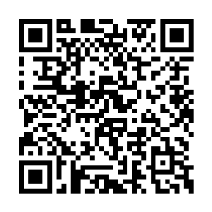 因为他们觉得张真这种窝囊废能找来什么高手啊二维码生成