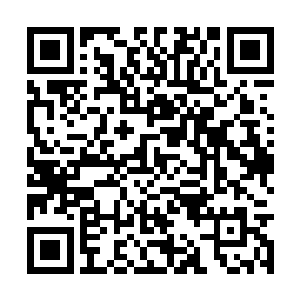 因为他们都在宗门藏书阁内看过有关储物箱的记载二维码生成