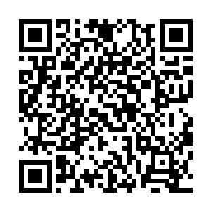 因为他们都知道从大地圣师突破到天空圣师究竟有多么艰苦二维码生成