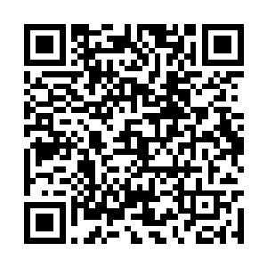 因为他发现对方的拳劲中突然传来一股巨大的暗劲二维码生成