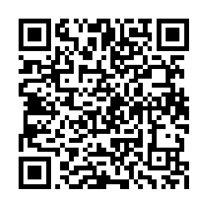 因为他只需要改变周围的环境就可以轻松获胜了二维码生成