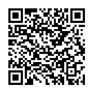 因为他完全可以从自家蠢主人丢在帐篷一角的行李二维码生成