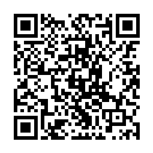 因为他根本不需要打什么预赛……甚至连复赛都不必打二维码生成