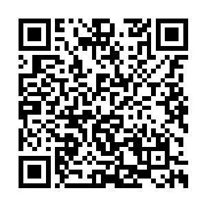 因为他根本就不知道我已经把这件神甲给修复了二维码生成