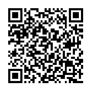 因为他此时看到了许紫烟正在和那群什么无影楼二维码生成