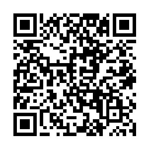 因为他现在可以随意使用各种曾经拥有或见过的技能二维码生成