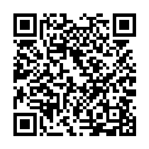 因为他的嘴里可能泄露出冥凤的弱点或者其他秘密二维码生成