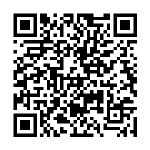因为他看见费德勒手里居然抓着一张翠绿色的叶子二维码生成
