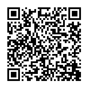 因为他突然想起许紫烟这个新人王可是曾经轰死过炼气期第十一层修为王凯二维码生成