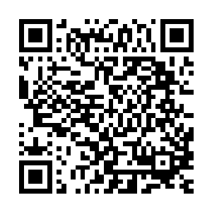因为他立刻就看出来许紫烟如今的修为已经是炼气期第十二层了二维码生成