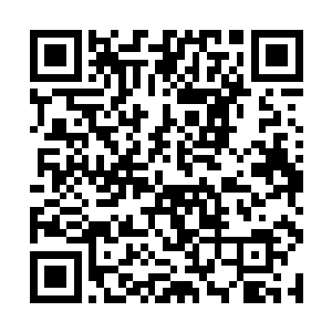 因为住一起以她们的性格肯定会有不少走光的机会的二维码生成