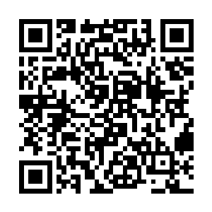 因为你这次在五品丹大赛中炼制出来六品青木升阶丹二维码生成