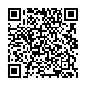 因为克莱伦斯说既然能把这场约架变成一项赛事二维码生成