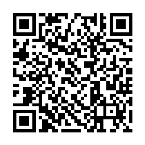 因为其余的人没有林封谨命格当中拥有的记忆碎片二维码生成