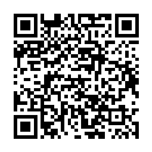 因为其实由于楚旬大人的神国并不像其他神灵一样二维码生成