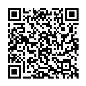 因为刚才戴永舟的话给他们的震撼实在太厉害了二维码生成