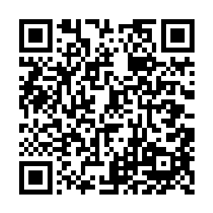 因为别人教育的方式和你教育的方式是不一样的二维码生成